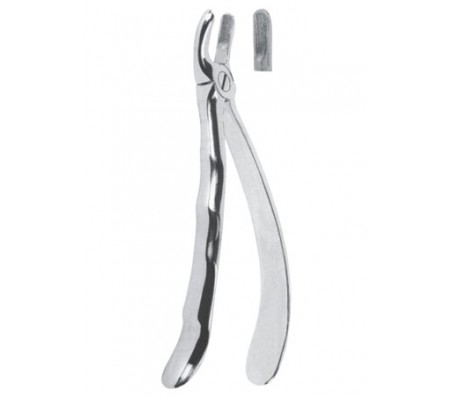 Extracting Forceps